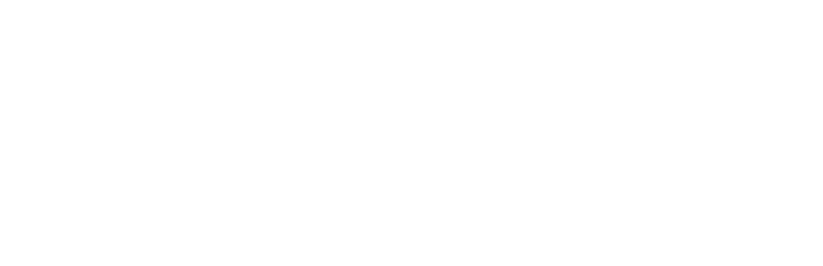 ALMA IT